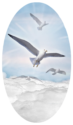 DNSBLUF 101 BL Journey Home Clouds Birds Blue